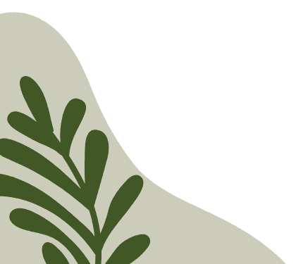 NGUYỄN THÙY TÂM NHƯ
